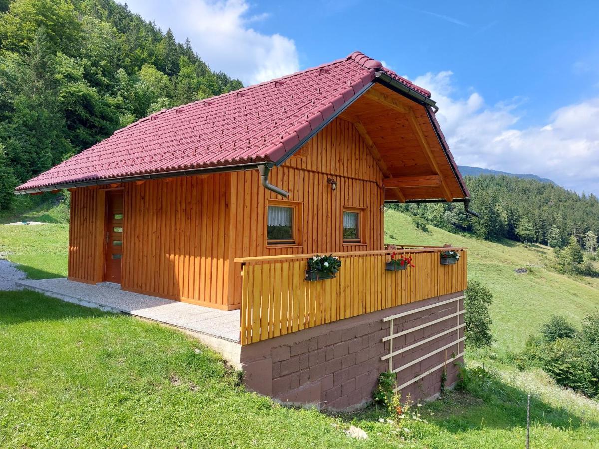 Pocitniska Hiska Lastovka Podvolovljek Exteriér fotografie