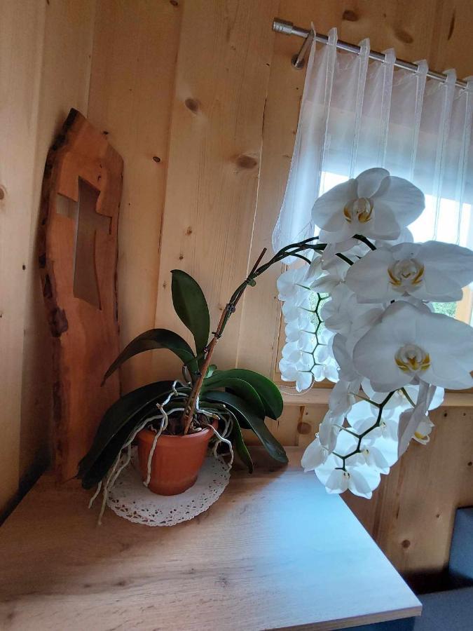 Pocitniska Hiska Lastovka Podvolovljek Exteriér fotografie